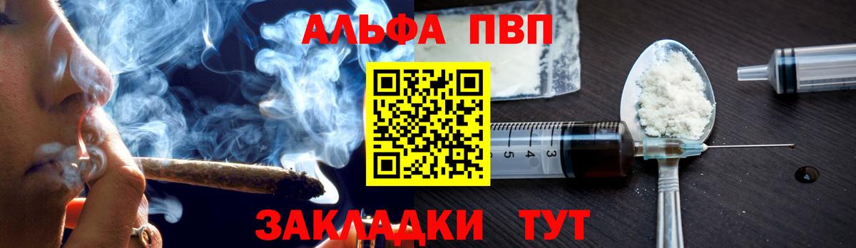 Alfa_PVP СК КРИС Малгобек