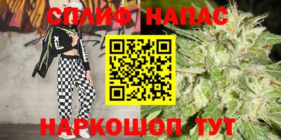 Альфа ПВП Заволжье