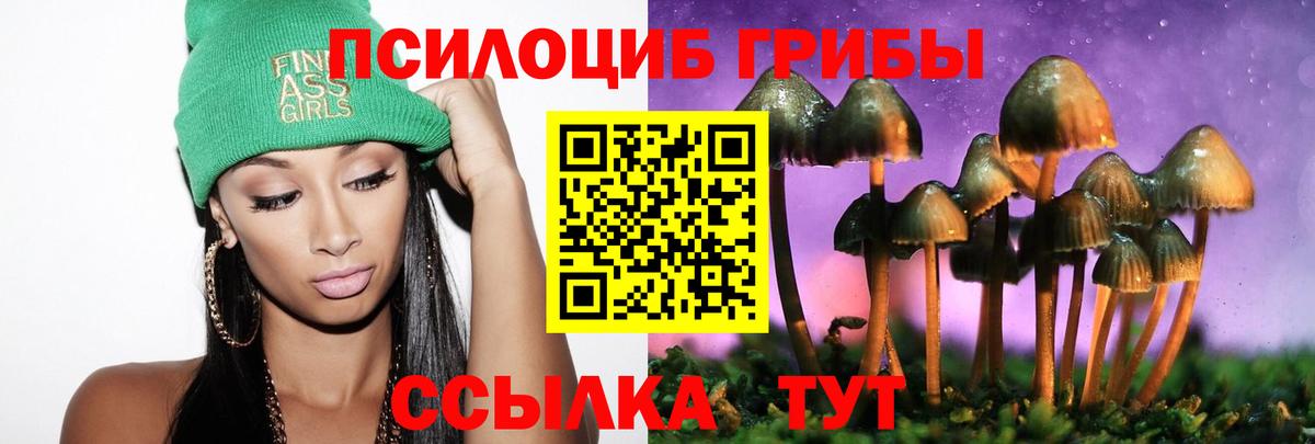 Малгобек  Псилоцибиновые грибы Cubensis  Вход с VPN 